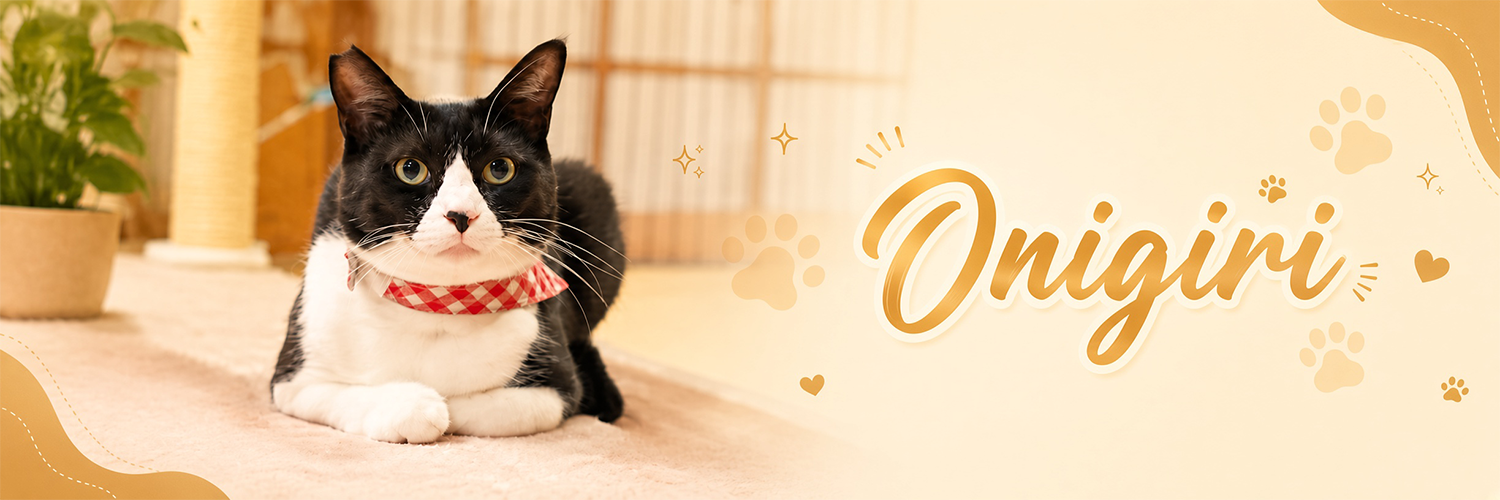 Onigiri banner — tuxedo cat with gold Onigiri lettering